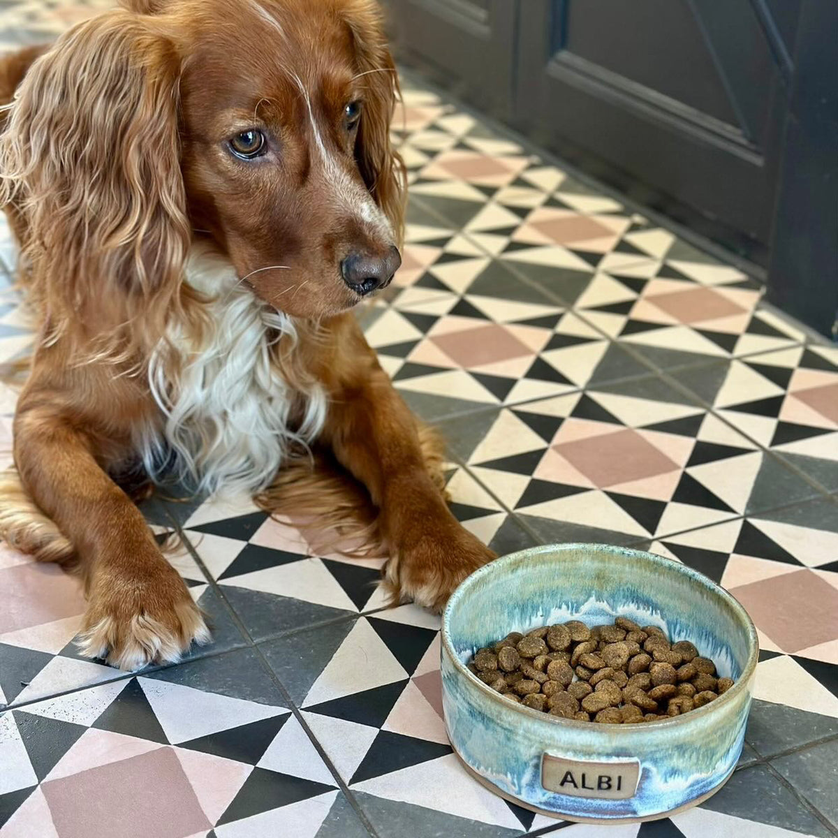 Made to Order - Classic Pet Bowl