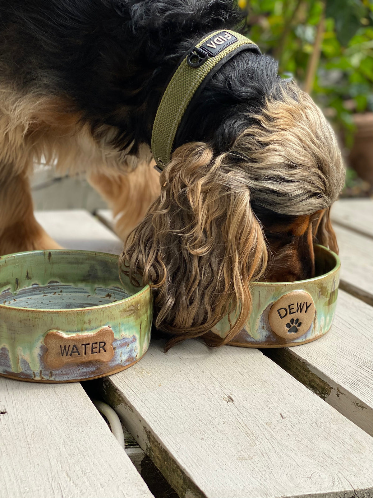 Made to Order - Classic Pet Bowl