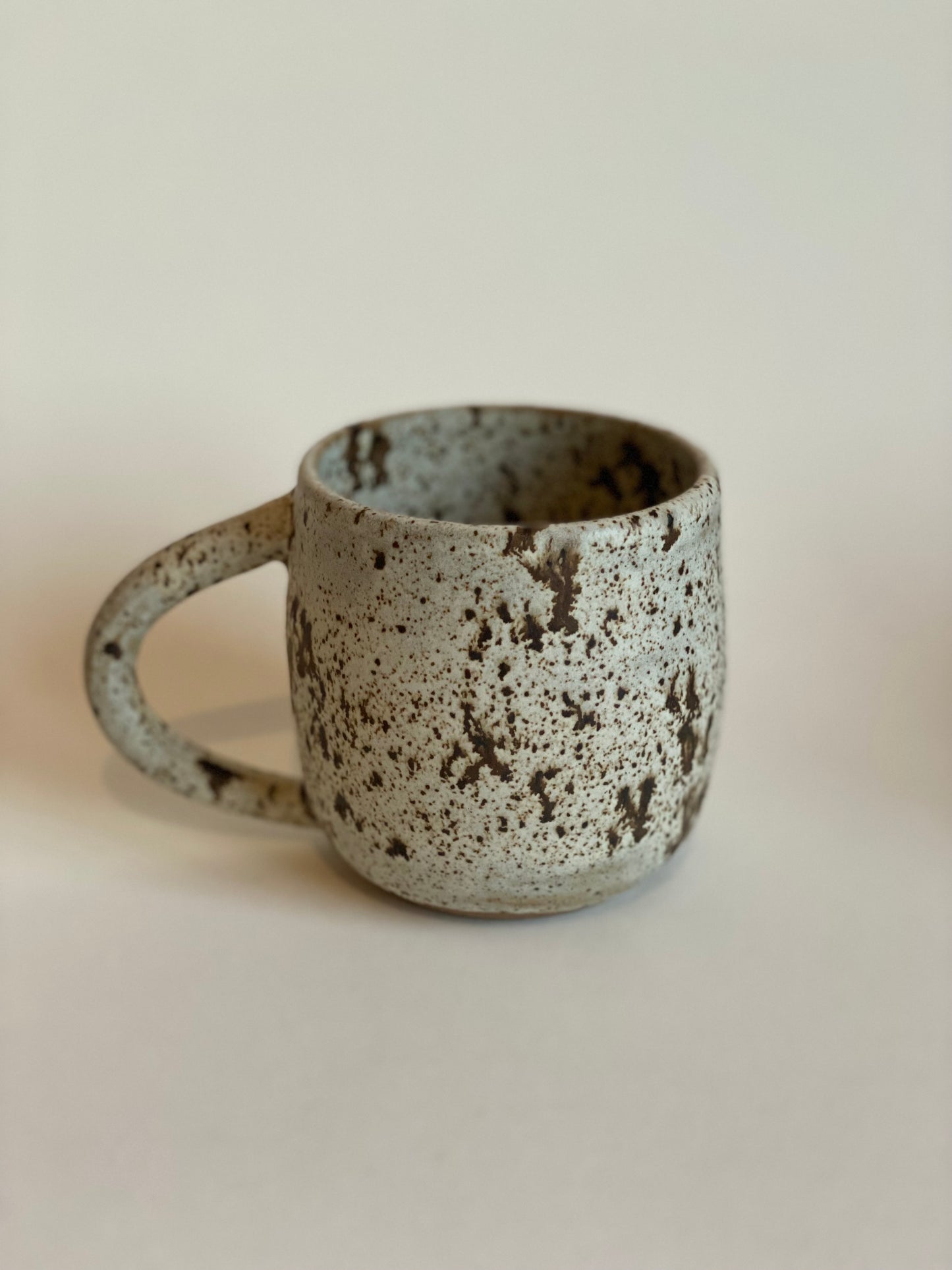 Mug - Speckled Sandstone