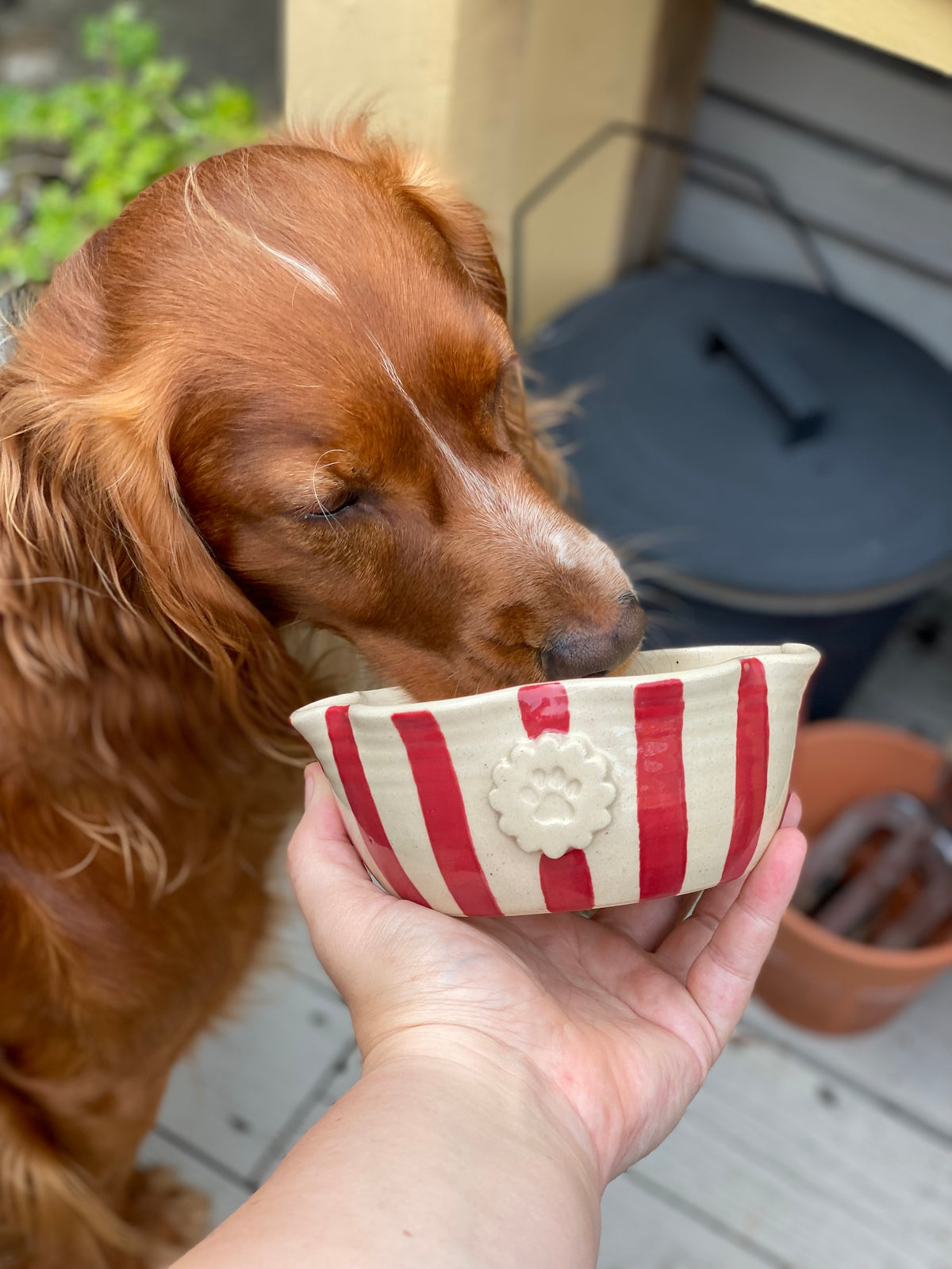 Made to Order - Stripey Frilly Classic Bowl